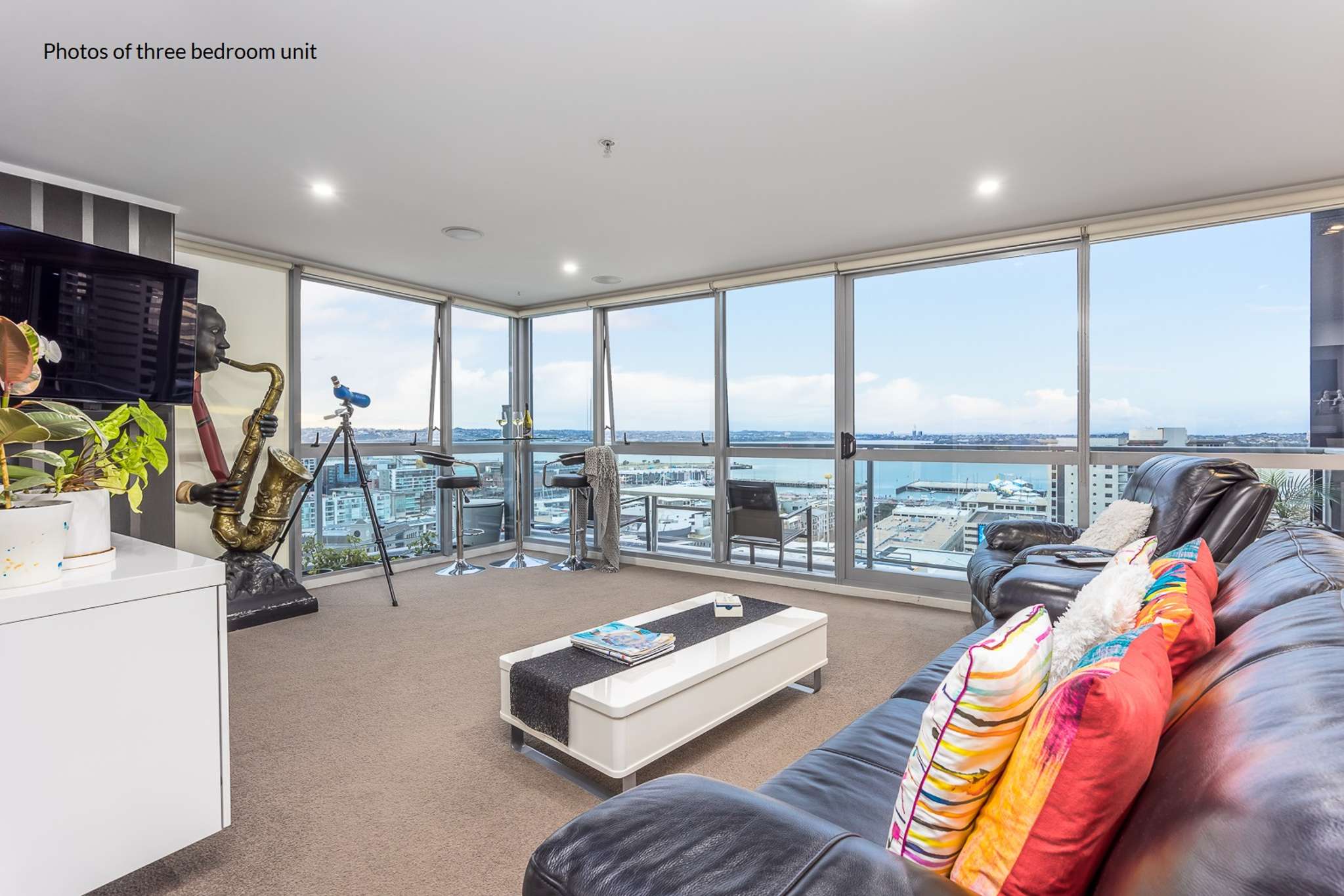 Two birds, one stone: Auckland inner-city apartment comes with a surprise