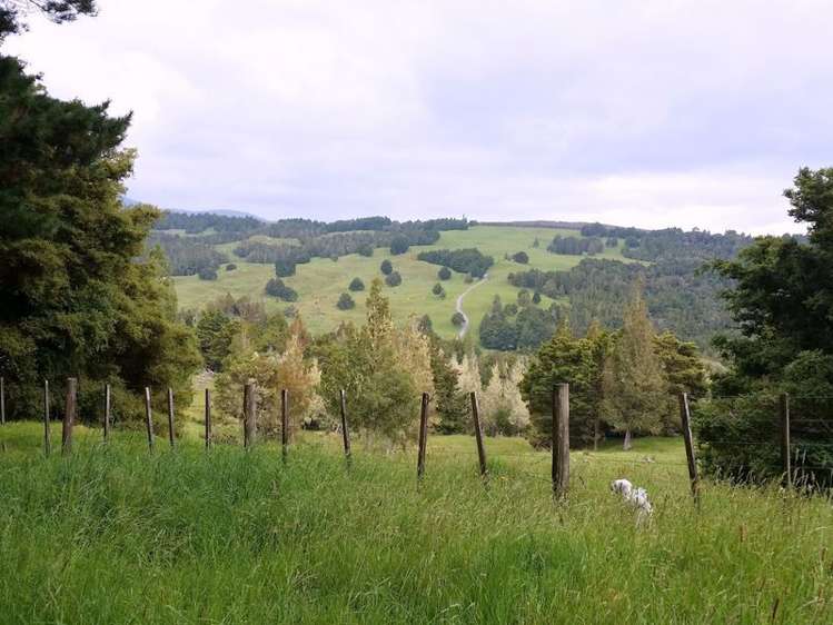 115 Waiare Road Okaihau_12