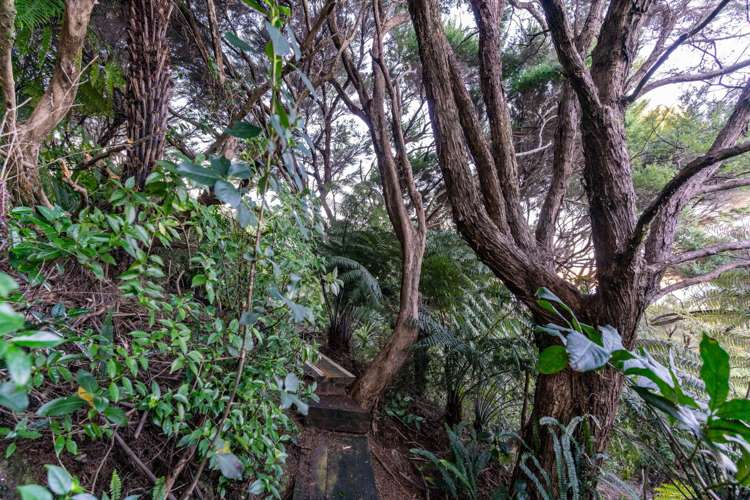 23 Wintle Street Mangawhai Heads_20