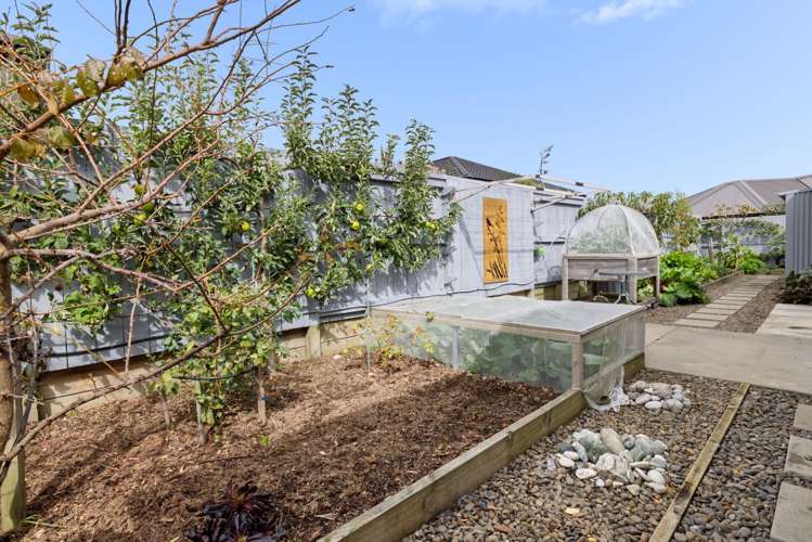 11 Hass Drive Ohauiti_18