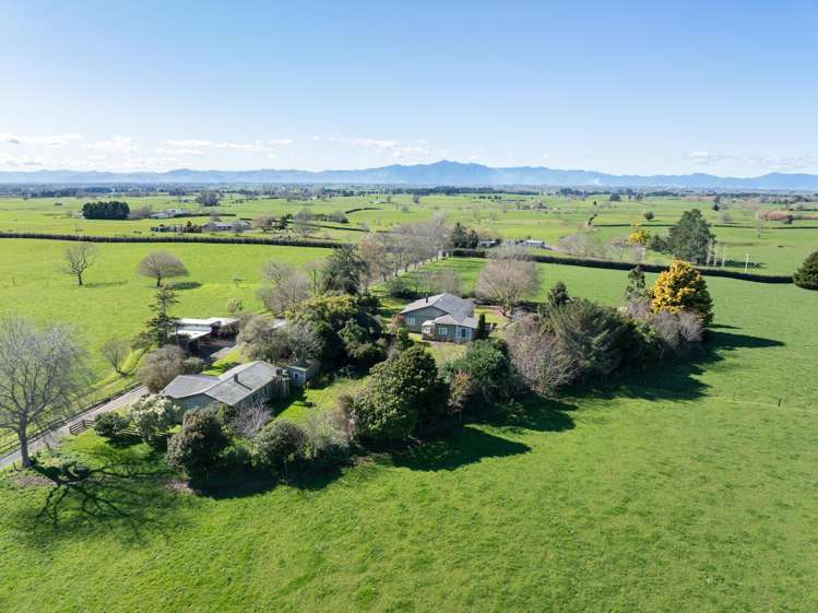 97 Herbert Road Morrinsville_9