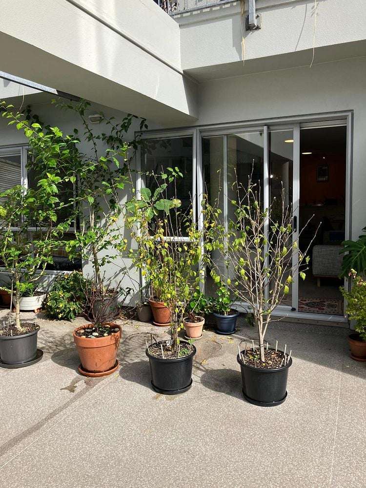 101/287 Onehunga Mall Onehunga_10