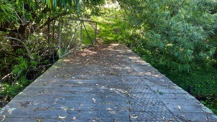 746 Clutha River Road Rongahere_24