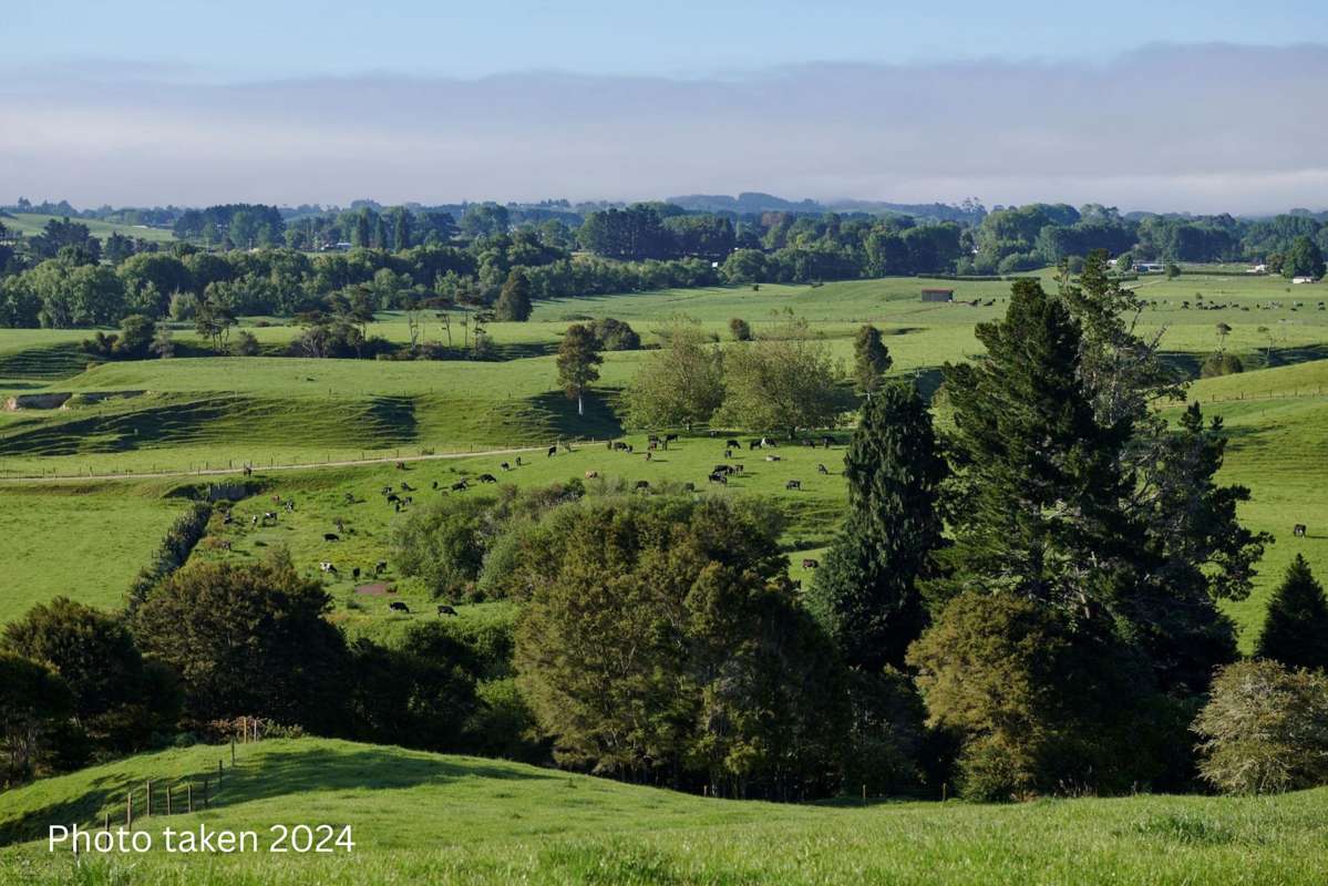 165B Te Puroa Road_3
