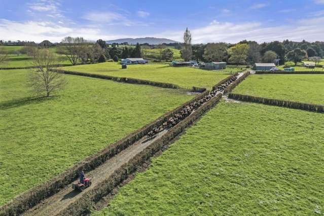 1/2528 Cambridge Road Te Awamutu_2