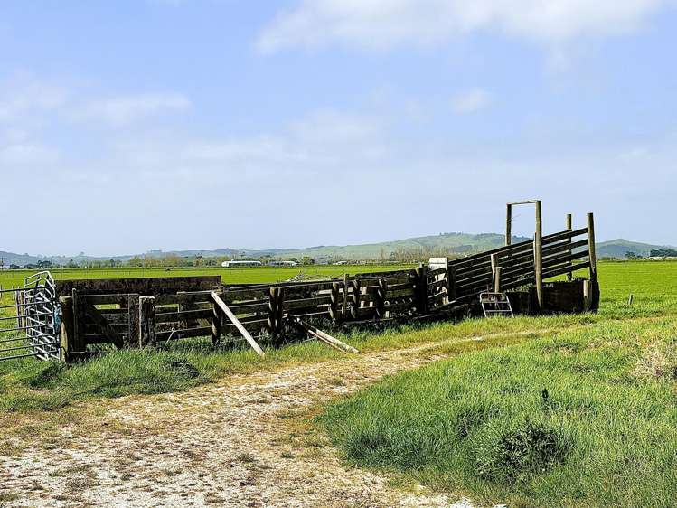 194 Whakatu Road Ruawai_19