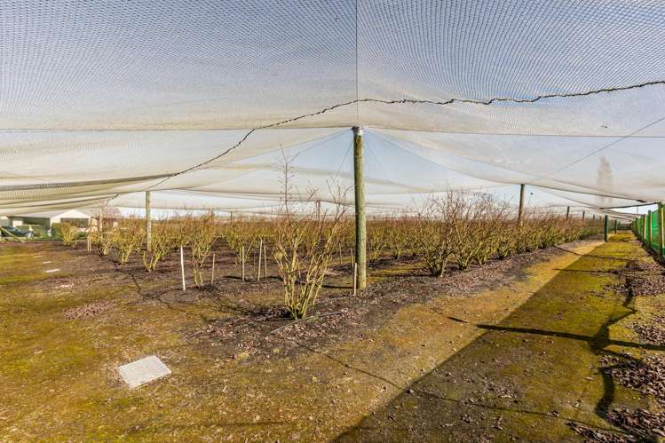 16 Arowhenua Station Road Kerrytown_65