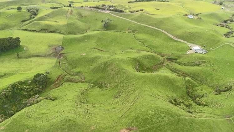 348 Ratapiko Road Ratapiko_6