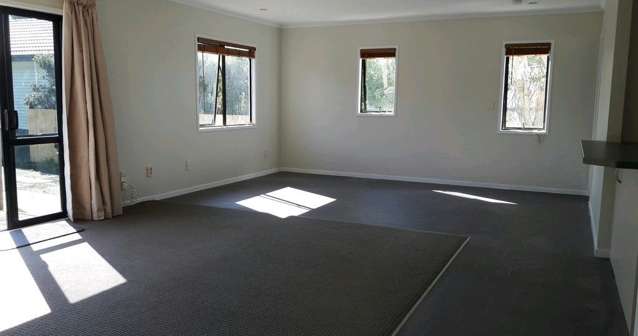 46 Rimu Street Gate Pa_1