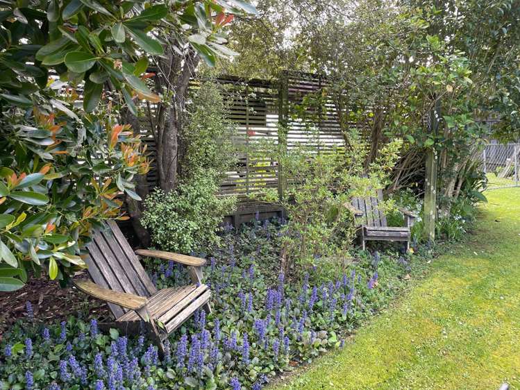 21A Totara Avenue Pukekohe_11