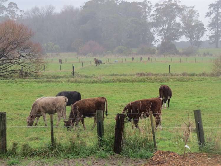 97 Tutaenui Road Marton_29