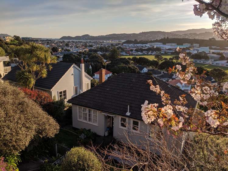 40 Townsend Road Miramar_13