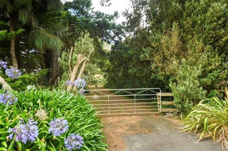 40 Milne Street Marton_7