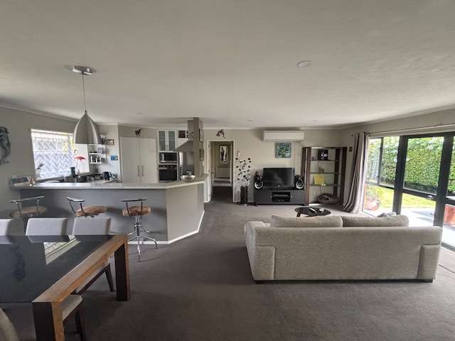 17 Showgate Ave Sockburn_3