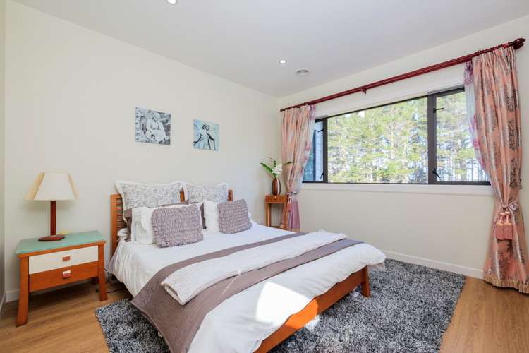 247 Lonely Track Road Albany Heights_12