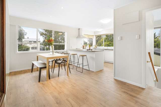 31 Ellicott Road Nawton_4