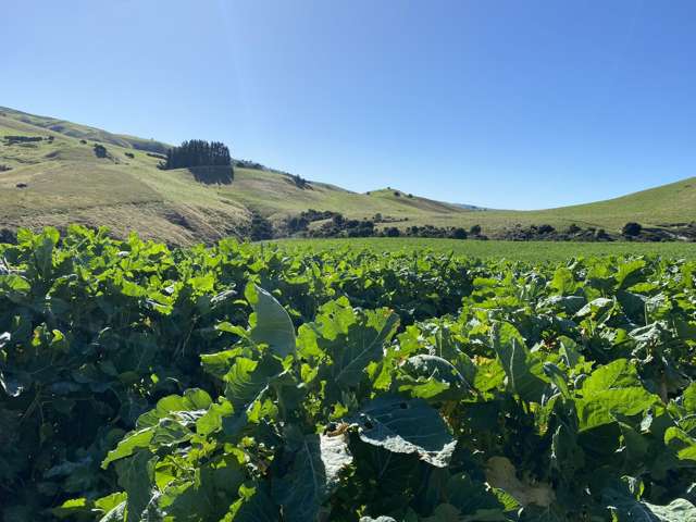 48 Heathfield Road Waipara_1