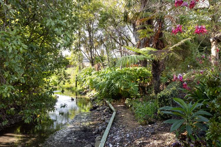 8 Ward Street Springlands_28