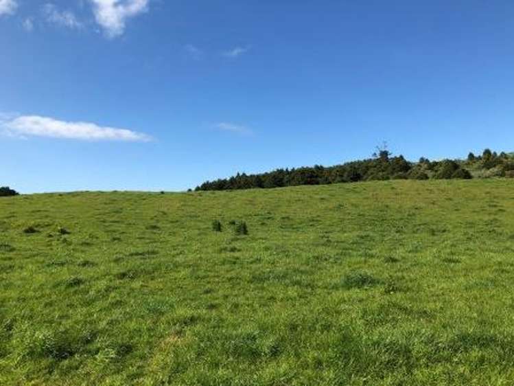 Whakataha Road Waimate North_9