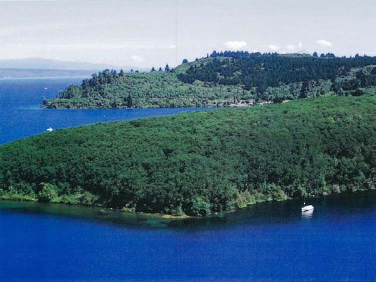 29 Parawera Drive Acacia Bay_9