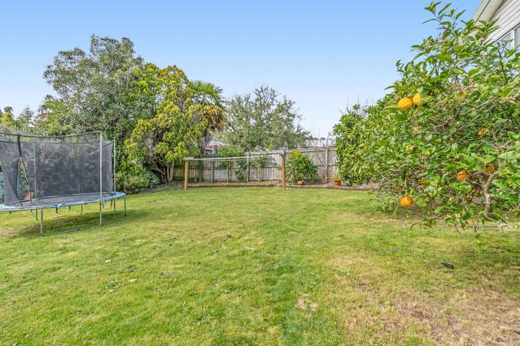71 Harrisfield Drive Hairini_9
