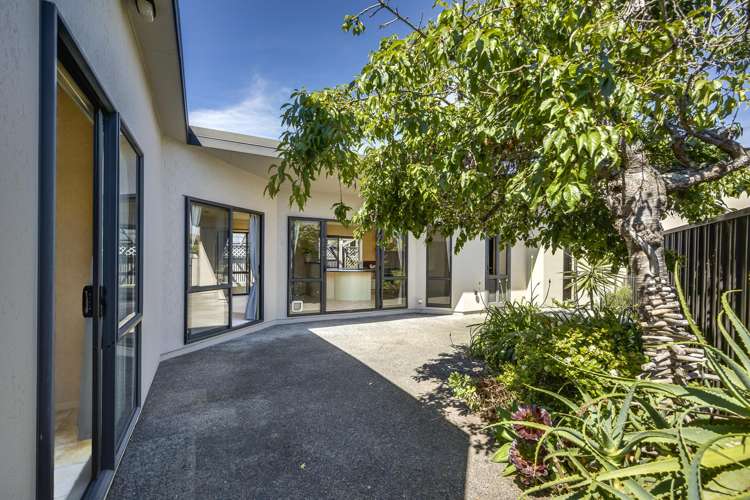 83 Church Road Taradale_15