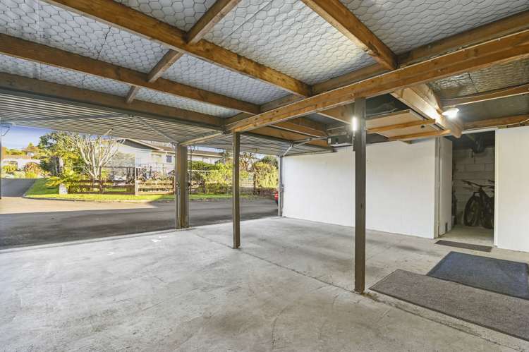 10b Willmott Place Springfield_23