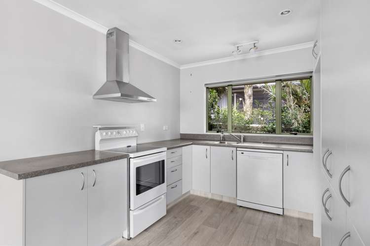 42 Rangitake Drive Spotswood_12