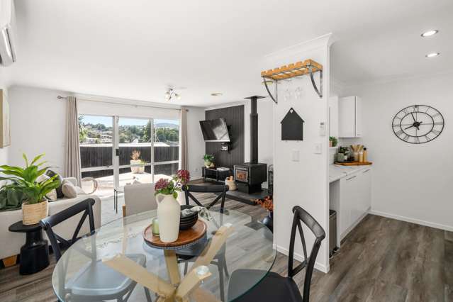 17A Resolution Road Welcome Bay_3