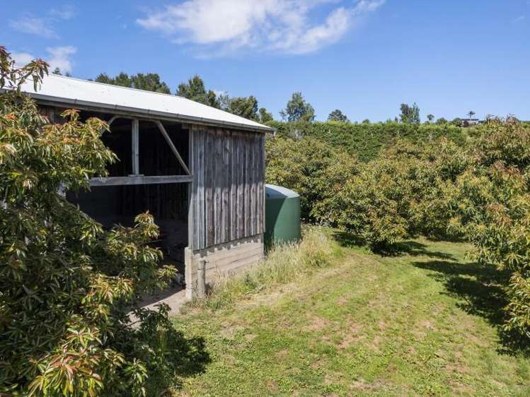 229 Walford Road Katikati_10