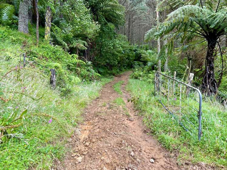 Waitete Road Waihi_12