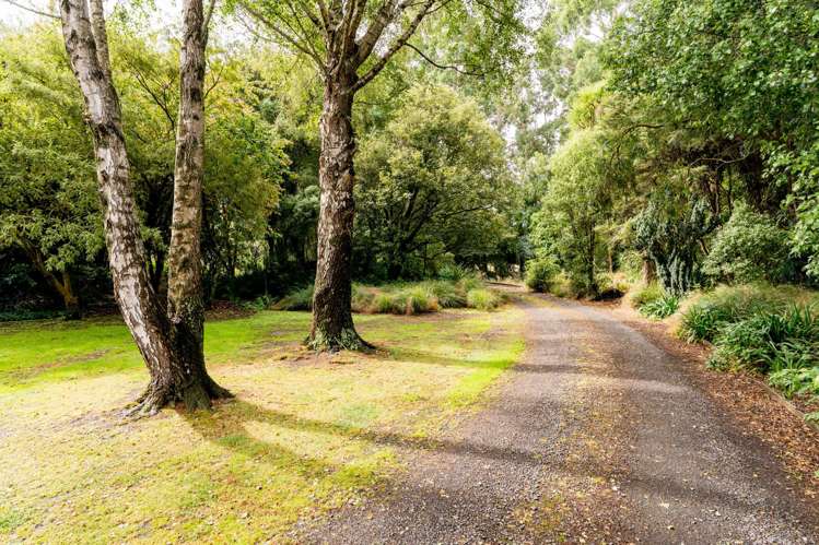 281 Bush Road Mosgiel_22