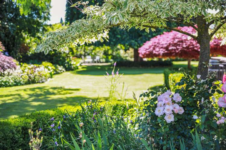 4 Poynter Street Blenheim_6