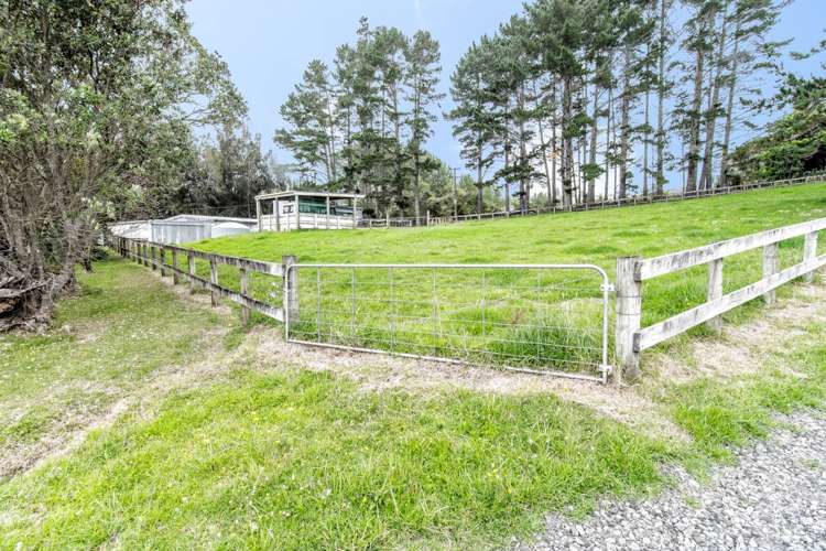 703 Inland Road Helensville_18