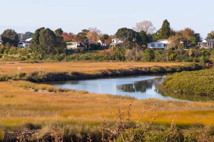 72 Church Street Katikati_4