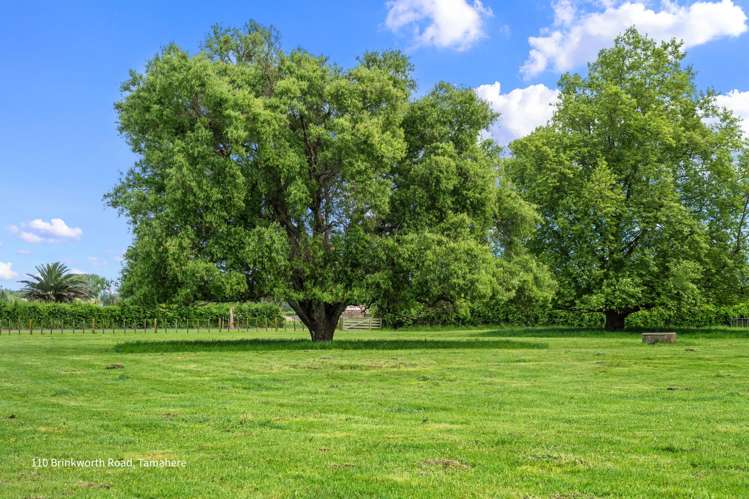 164 Lee Martin Road Tamahere_8