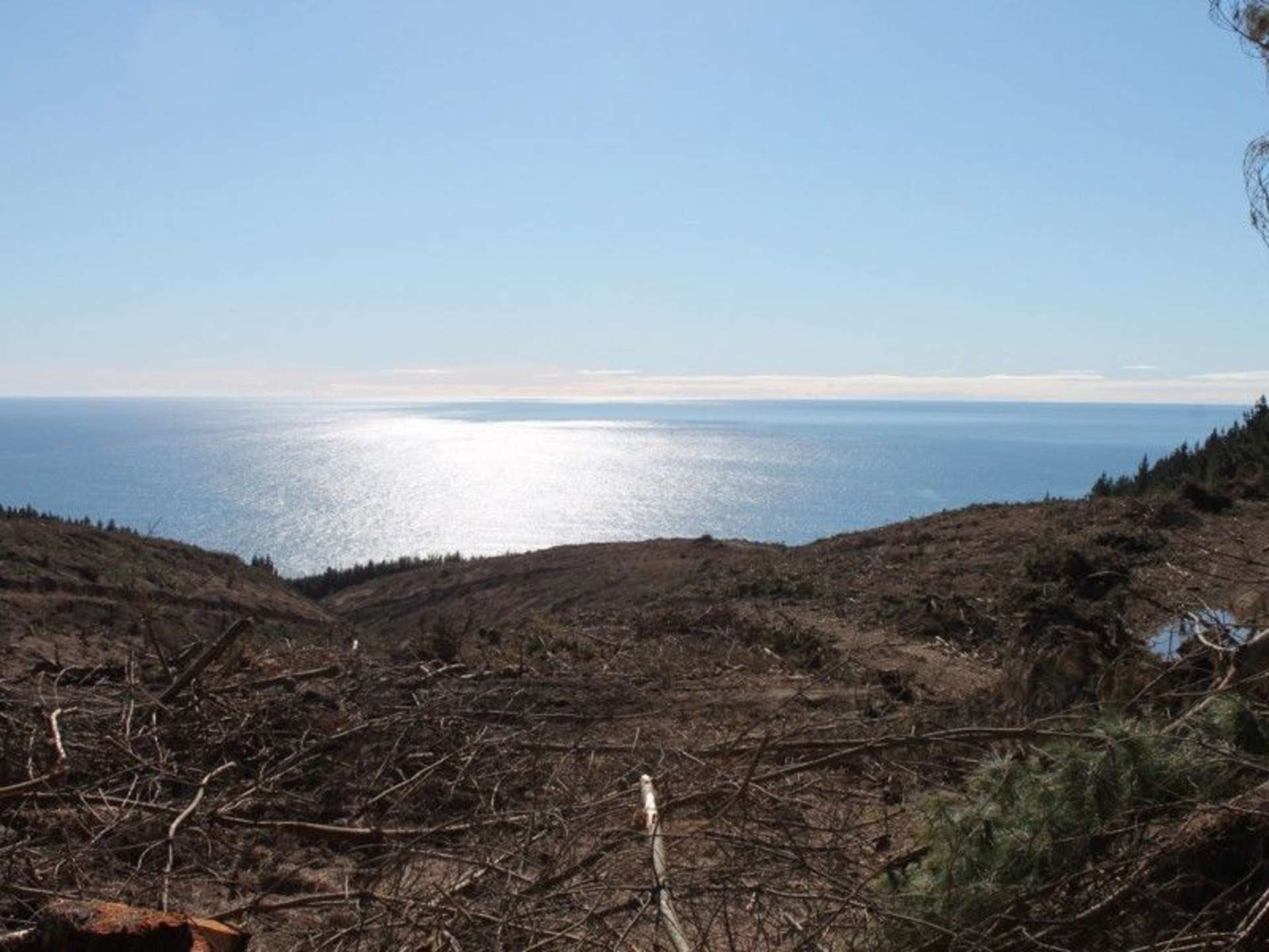 Shag Point Road Waitaki_0