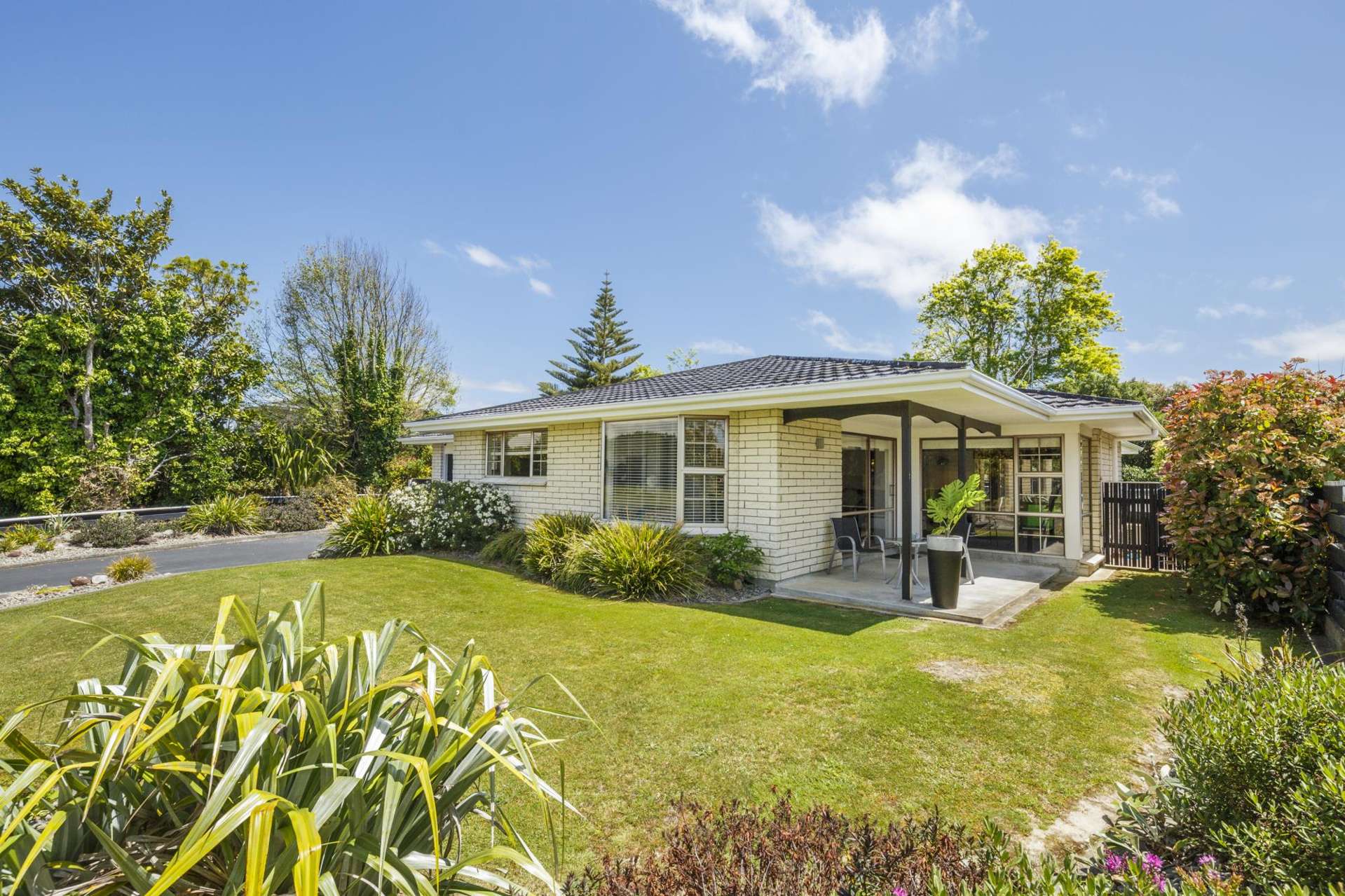 33 Dittmer Drive Awapuni_0