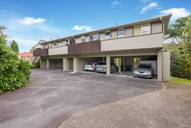 15C Sayegh Street St Heliers_10