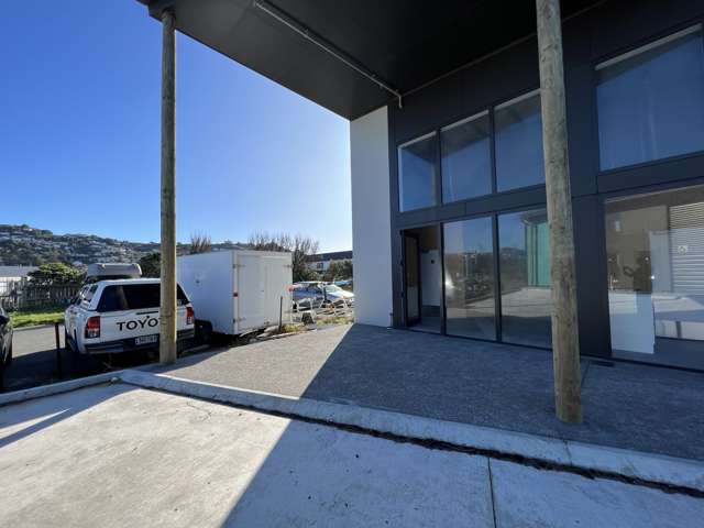 Lyall Bay Junction - Boutique unit for sale