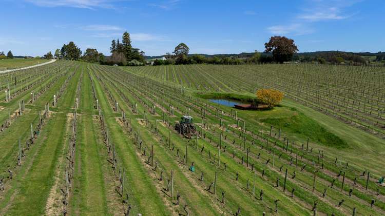 12 Sunrise Road Upper Moutere_29