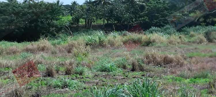 Address withheld Labasa_8