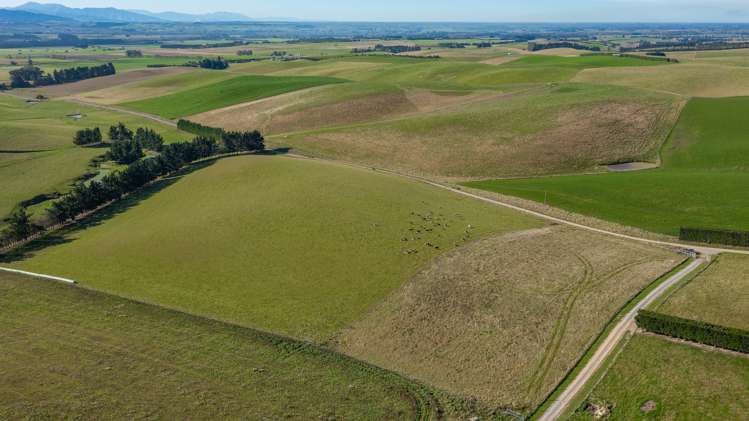 160 Esler Road Pleasant Point_10