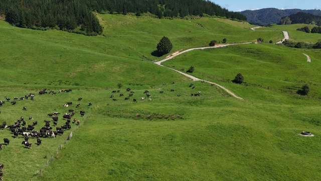 337 Mill Road Kawakawa_3