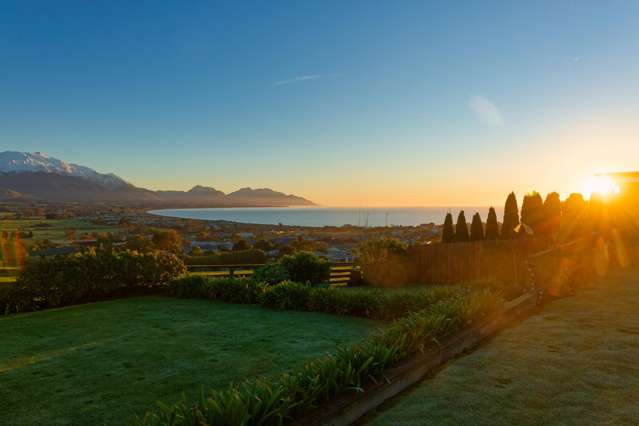 The Best of Kaikoura at your Doorstep!