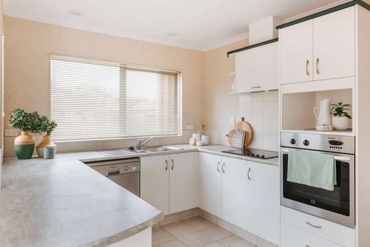 8 Paua Cove Papamoa_6