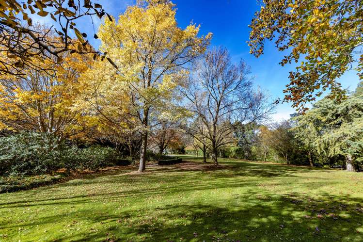 296 O'Roarkes Road Fernside_40