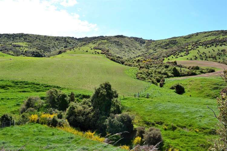 771 Hunt Road Catlins Surrounds_13