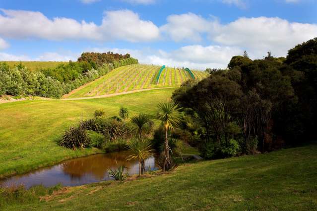 152 Trig Hill Road Waiheke Island_1