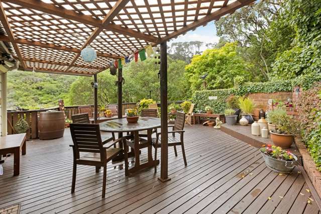 127 Rakau Road Hataitai_1